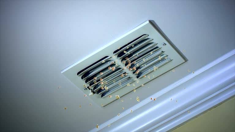Best HVAC Air Duct Cleaning  in , CA